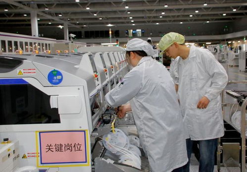 芯片獲最高認證，兩江新區硬科技開啟技術服務新篇章